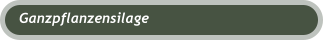 Ganzpflanzensilage