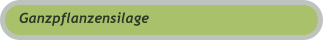 Ganzpflanzensilage