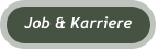 Job & Karriere